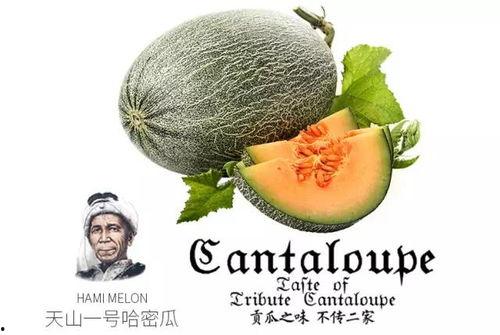 娱乐吃瓜营销号推荐,明星们的幕后故事，吃瓜群众必看！